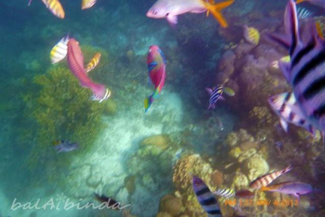 Balaibinda Lodge Coron Εξωτερικό φωτογραφία